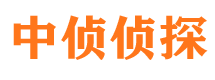 莘县市调查公司